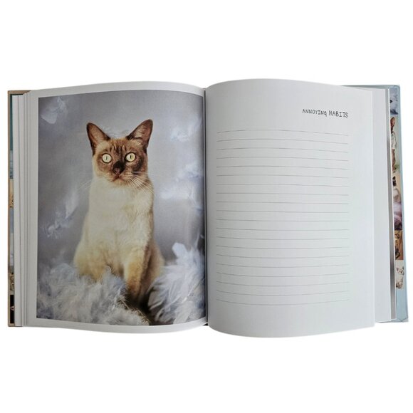My Cat Record Book By Rachael Hale | Hardcover | NWT | Brown Red - Picture 6 of 16
